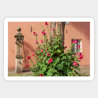 hollyhocks Sticker